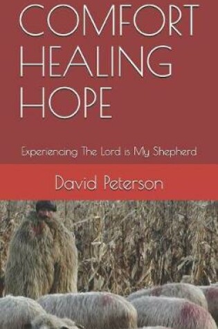 Cover of Comfort Healing Hope