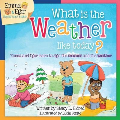 Book cover for What is the Weather Like Today?