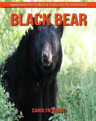 Book cover for Black Bear