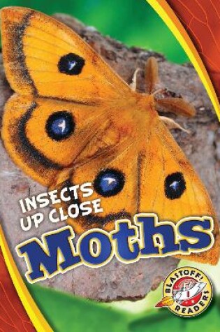 Cover of Moths