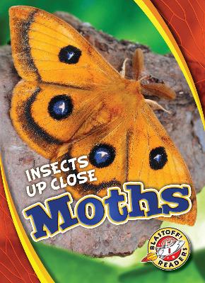 Book cover for Moths