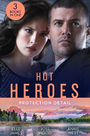 Cover of Hot Heroes: Protection Detail