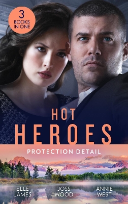 Book cover for Hot Heroes: Protection Detail