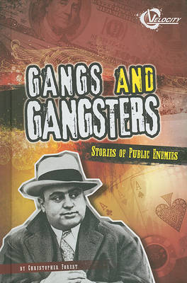 Book cover for Gangs and Gangsters