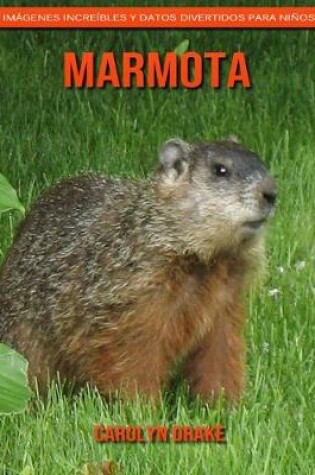 Cover of Marmota
