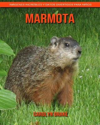 Book cover for Marmota