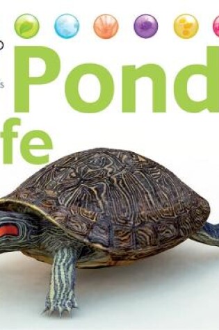 Cover of Nora the Naturalist's Animals: Pond Life