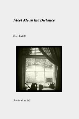 Book cover for Meet Me in the Distance