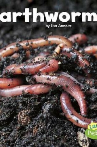Cover of Earthworms (Little Critters)