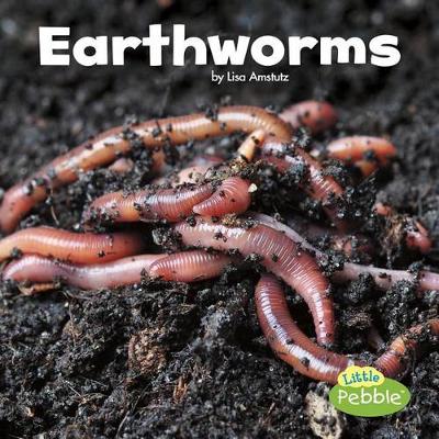 Book cover for Earthworms (Little Critters)