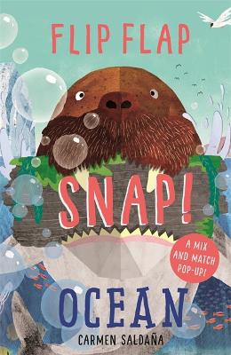 Book cover for Flip Flap Snap: Ocean