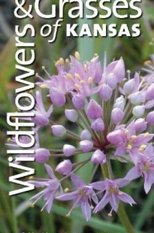 Cover of Wildflowers and Grasses of Kansas