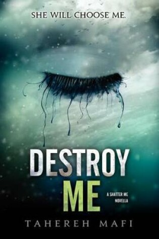 Cover of Destroy Me