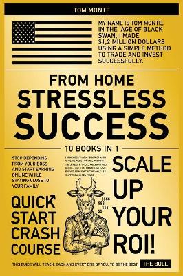 Book cover for Stressless Success from Home [10 in 1]