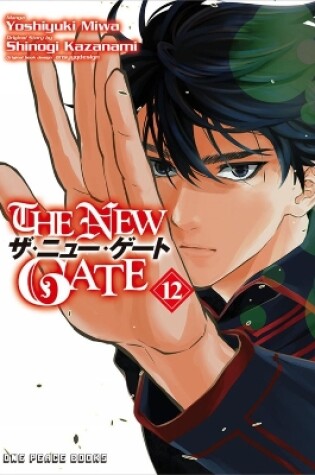 Cover of The New Gate Volume 12