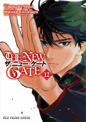 Book cover for The New Gate Volume 12
