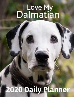 Cover of I Love My Dalmatian