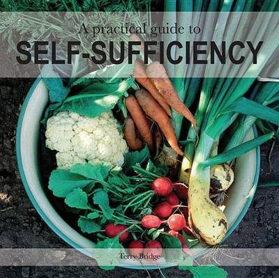 Book cover for A Practical Guide to Self-Sufficiency