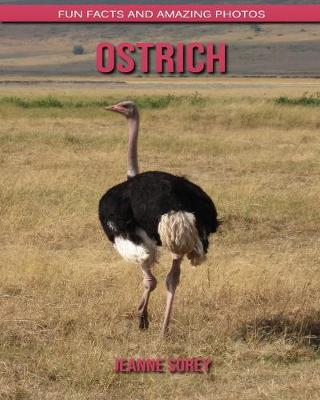 Book cover for Ostrich