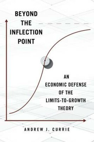 Cover of Beyond the Inflection Point