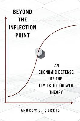 Book cover for Beyond the Inflection Point