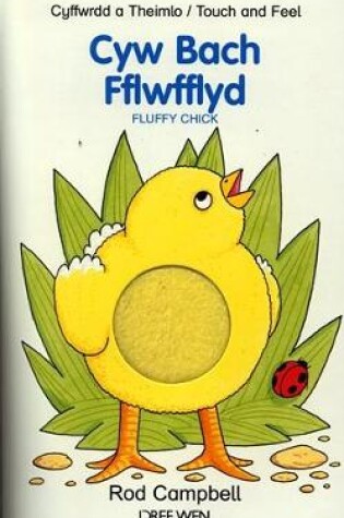 Cover of Cyw Bach Fflwfflyd - Cyffwrdd a Theimlo / Fluffy Chick - Touch and Feel