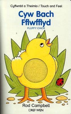 Book cover for Cyw Bach Fflwfflyd - Cyffwrdd a Theimlo / Fluffy Chick - Touch and Feel