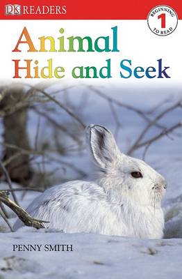 Book cover for Animal Hide and Seek