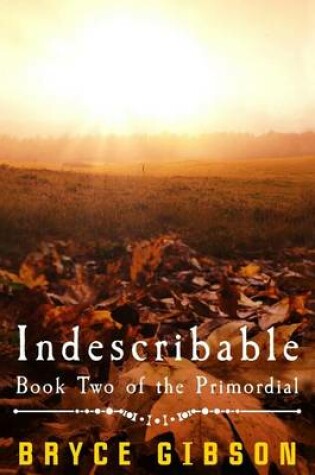 Cover of Indescribable