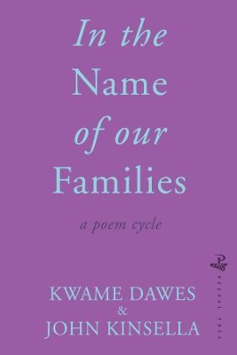 Book cover for In The Name Of Our Families