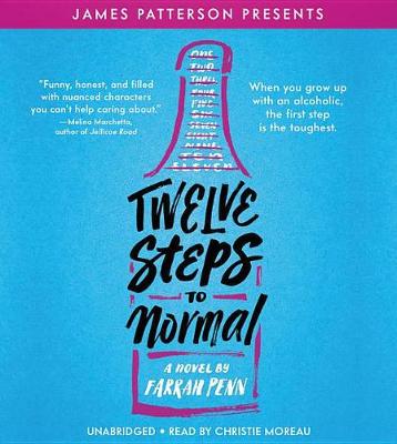 Book cover for Twelve Steps to Normal