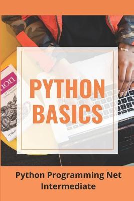 Book cover for Python Basics