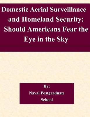 Book cover for Domestic Aerial Surveillance and Homeland Security