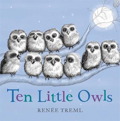 Book cover for Ten Little Owls