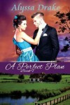 Book cover for A Perfect Plan