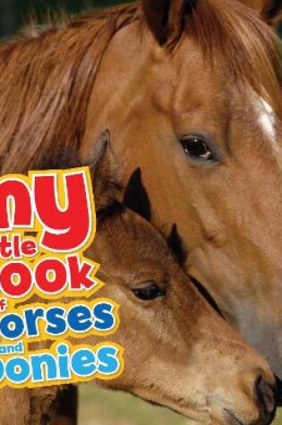 Cover of My Little Book of Horses and Ponies