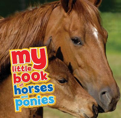 Cover of My Little Book of Horses and Ponies