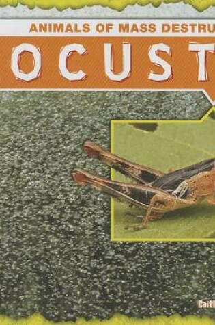 Cover of Locusts