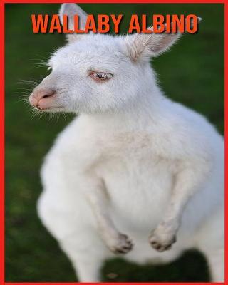 Book cover for Wallaby Albino