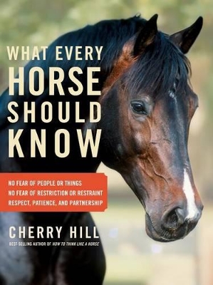 Book cover for What Every Horse Should Know