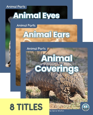 Book cover for Animal Parts (Set of 8)