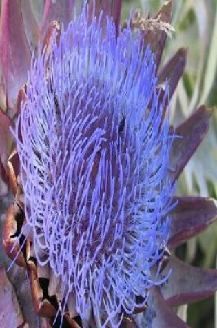 Cover of Floral Journal Purple Artichoke Flower