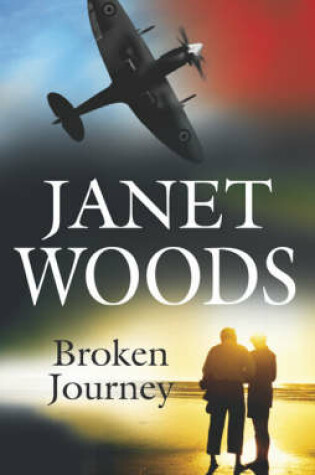 Cover of Broken Journey