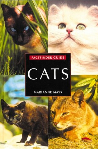 Cover of Cats