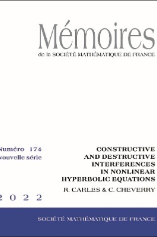 Cover of Constructive and Destructive Interferences in Nonlinear Hyperbolic Equations