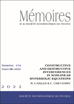 Book cover for Constructive and Destructive Interferences in Nonlinear Hyperbolic Equations