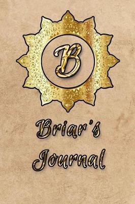 Book cover for Briar's Journal