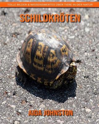 Book cover for Schildkröten