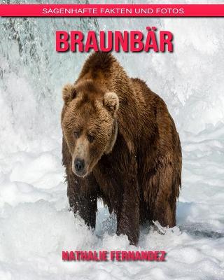 Book cover for Braunbär