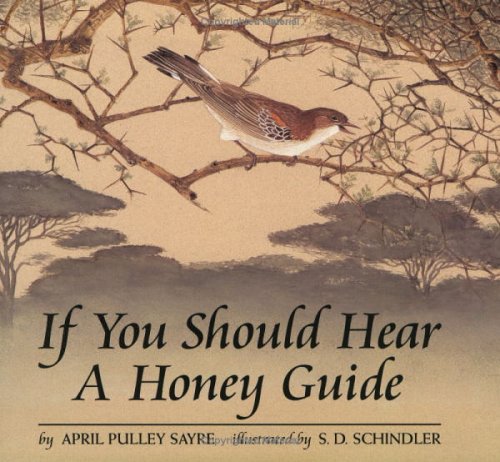 Book cover for If You Should Hear a Honey Guide